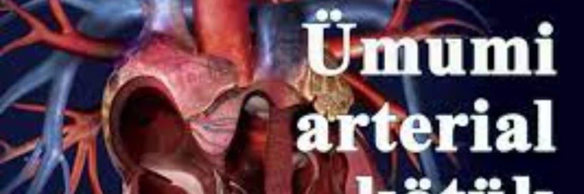 Ümumi arterial kotuk