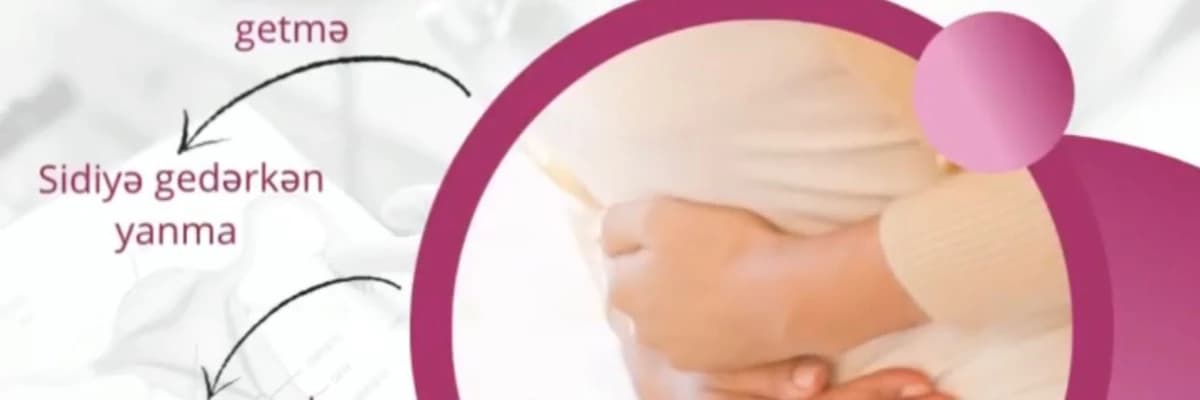 Bal Ayı Sistiti Nədir?