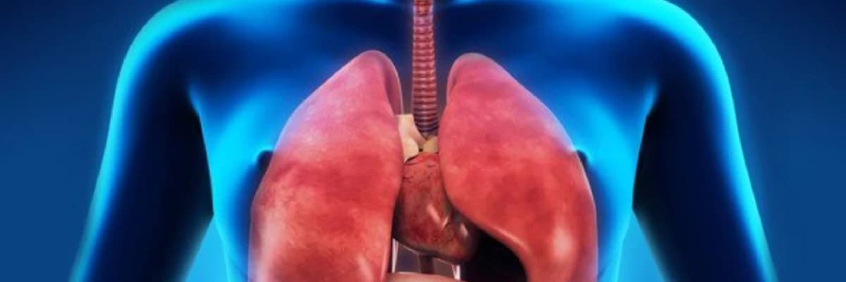 Pnevmokonioz, silikoz - işdə zərərli tozun uzun müddət nəfəs almasından yaranan sağalmaz ağciyər xəstəlikləri.