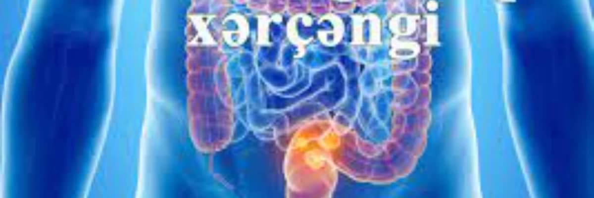 Duz bagirsaq xercengi