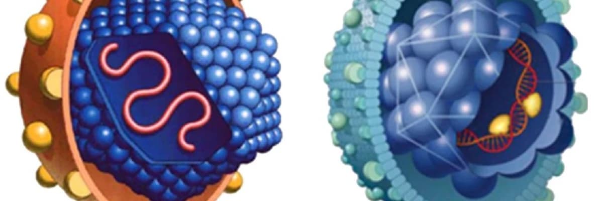 Müxtəlif etiologiyalı hepatitlər