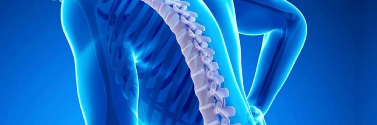 Osteoporoz və digər metabolik sümük xəstəlikləri