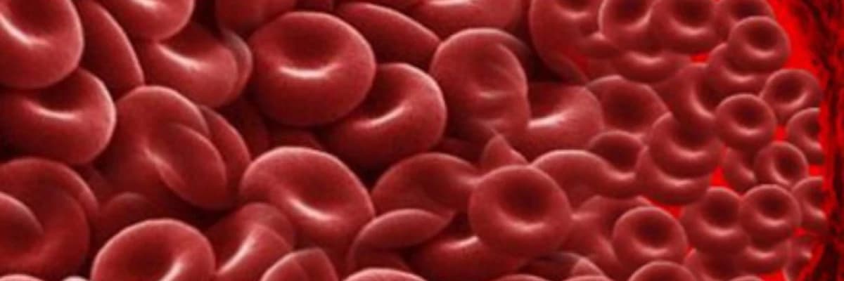 Qanaxma və laxtalanma pozğunluqları