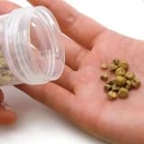 Öd daşları: simptomlar, səbəblər və müalicələr