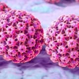 İnsan papillomavirusu (HPV) nədir? Semptomlar, müalicə və profilaktika