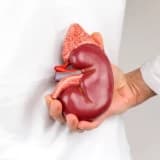 Hiperaldosteronizm haqqında melumat