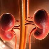 Analgetik nefropatiya