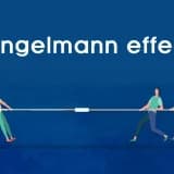Ringelmann effekti