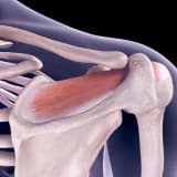 Birgə dislokasiyalar: Diaqnoz, Müalicə və Reabilitasiya