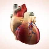 Ürəyin ritm pozğunluqları