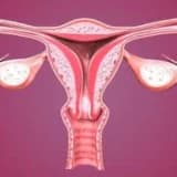 Endometriya və gənc boynun hiperplaziyası və polipləri