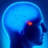 Hipofizin adenomasi