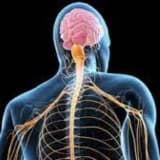 Əzələ-skelet sistemi xəstəliklərinin və osteoporozun müalicəsi