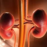 Analgetik nefropatiya