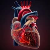 Koronar Arteriya Xəstəliyi
