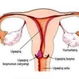 Uşaqlıq boynu, uşaqlıq yolu və vulva toxumalarında şişönü dəyişikliklərə şübhələr
