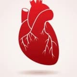 Koronar Arteriya Xəstəliyi