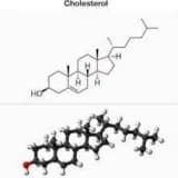Xolesterol və trigliseridlər kimi qan yağlarında artım