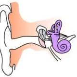 Uşaq Otolarinqologiyası