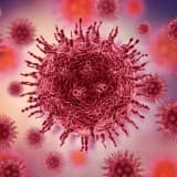 Norovirus