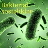 Bakterial xəstəliklər