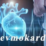 Revmokardit