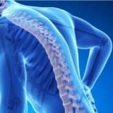 Sümük əriməsi (OSTEOPOROZ)