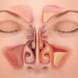 Rinologiya: Burun və Sinus Sağlamlığı Elmı