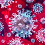 COVID-19 nədir? Semptomlar, profilaktika üsulları və müalicə variantları haqqında ən son məlumatlar