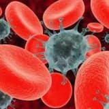 Mieloproliferativ xəstəliklər