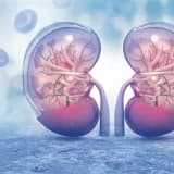 Böyrək Transplantasiyası: Proses, Səbəblər və Nəticələr