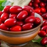 Zoğal - Təbii immunitet