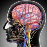 Beyin Cərrahiyyəsi