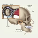 Temporomandibular Oynağın (TMJ) Pozğunluqları: Səbəbləri, Simptomları və Müalicə Yolları