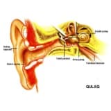 Xarici və orta qulağın travmaları