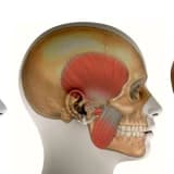 Çənə cərrahiyəsi