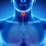 Endokrin sistemin xəstəlikləri