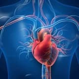 Koronar Arteriya Xəstəliyi nədir? Simptomlar və növləri