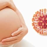 Perinatal infeksiyalar (TORCH)