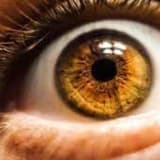Retinal Xəstəliklər