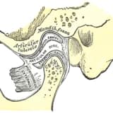 Çıxıqların yerinə salınması
