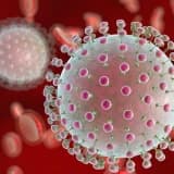 Zika virusu nədir? Semptomlar, profilaktika üsulları və müalicə variantları