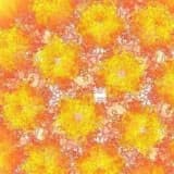 Genital herpes nədir və simptomları nələrdir? Müalicə və profilaktika üsulları