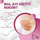 Bal Ayı Sistiti Nədir?