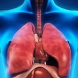 Pnevmokonioz, silikoz - işdə zərərli tozun uzun müddət nəfəs almasından yaranan sağalmaz ağciyər xəstəlikləri.