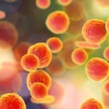 Ureaplazmoz-Mikoplazmoz