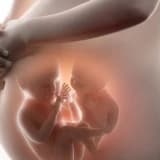 Çoxlu Hamiləliklər Haqqında