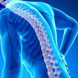 Osteoporoz və digər metabolik sümük xəstəlikləri