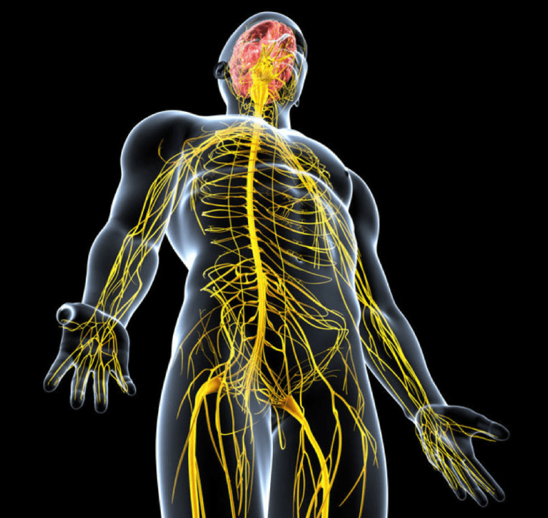 Periferik sinir problemləri, travmalar, neyropatiyalar, qüsurlar, kütlələr