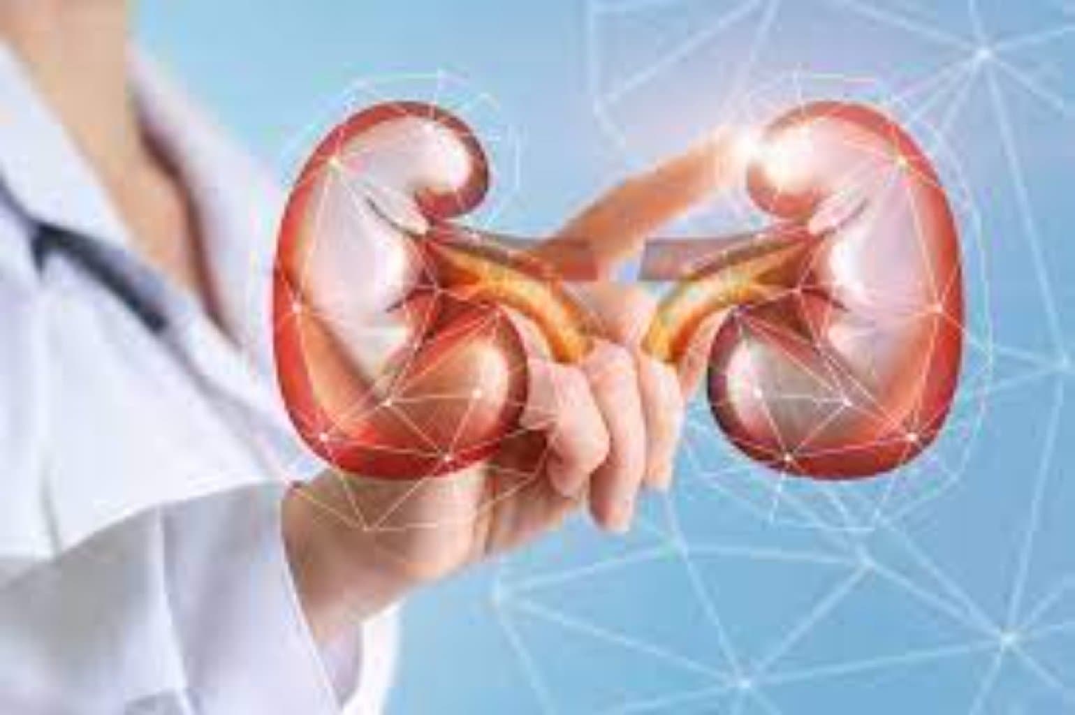 Yenitörəmələrin xaric olunması